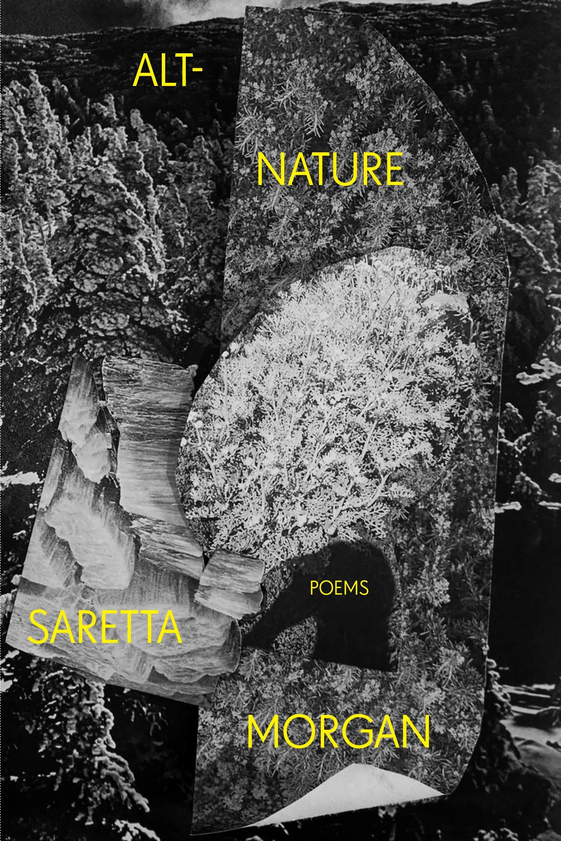 Alt-Nature CHPbeta