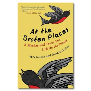 At the Broken Places
