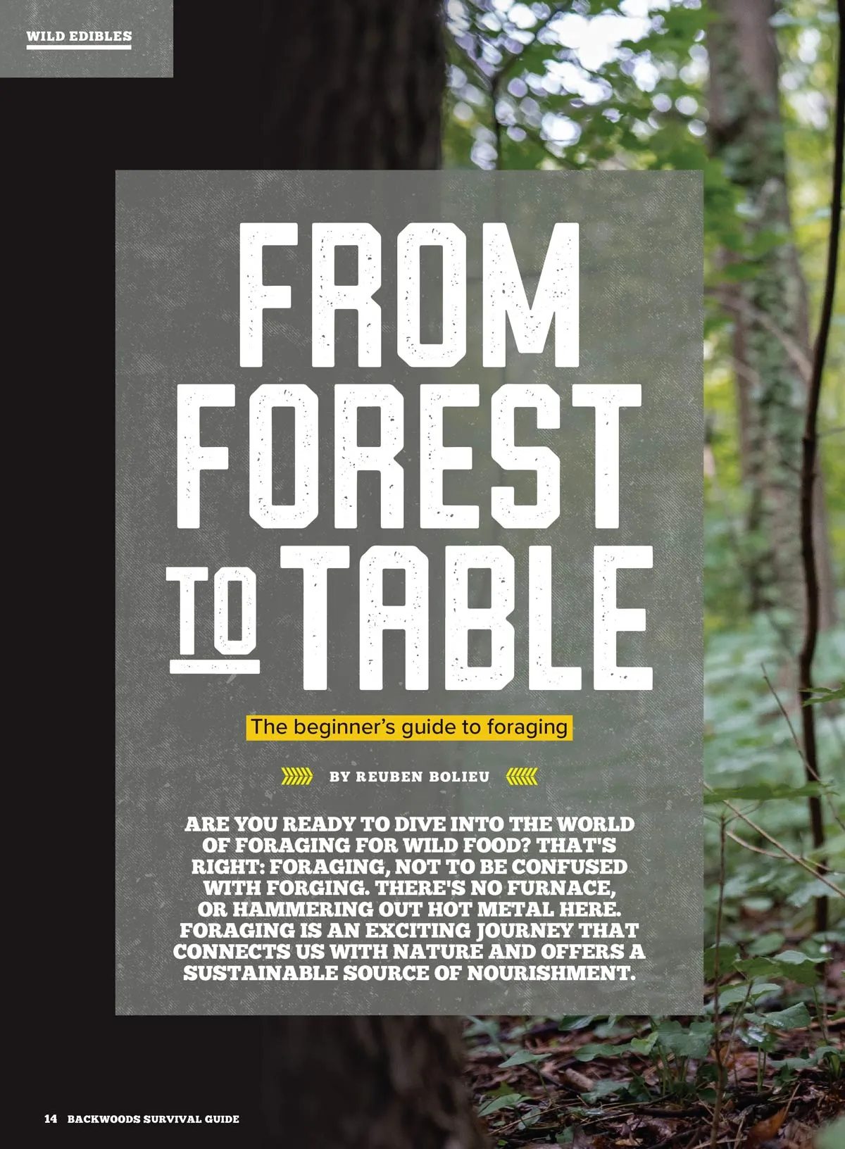 Backwoods Survival Guide - Living Off The Land No. 31:  200  Essential Tips For The Simple Life, Self Reliance Strategies, Wilderness Skills, Homesteading Necessities, Challenges & More!
