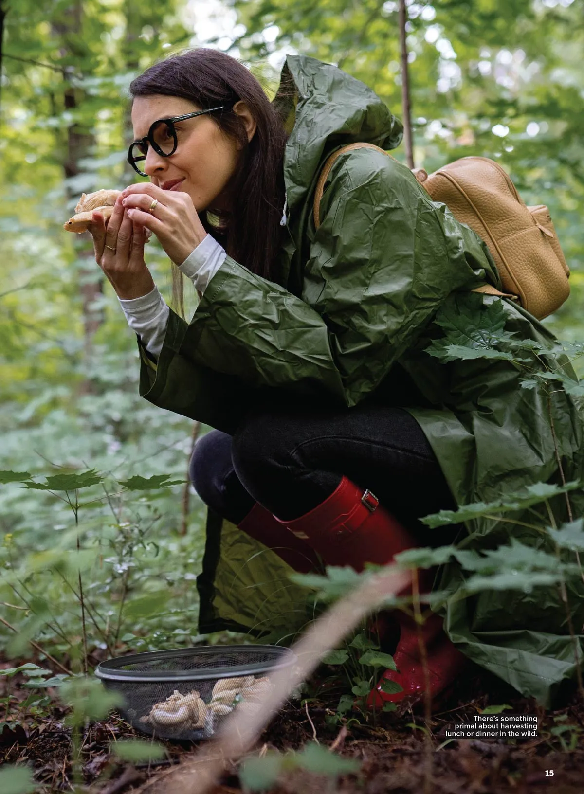 Backwoods Survival Guide - Living Off The Land No. 31:  200  Essential Tips For The Simple Life, Self Reliance Strategies, Wilderness Skills, Homesteading Necessities, Challenges & More!