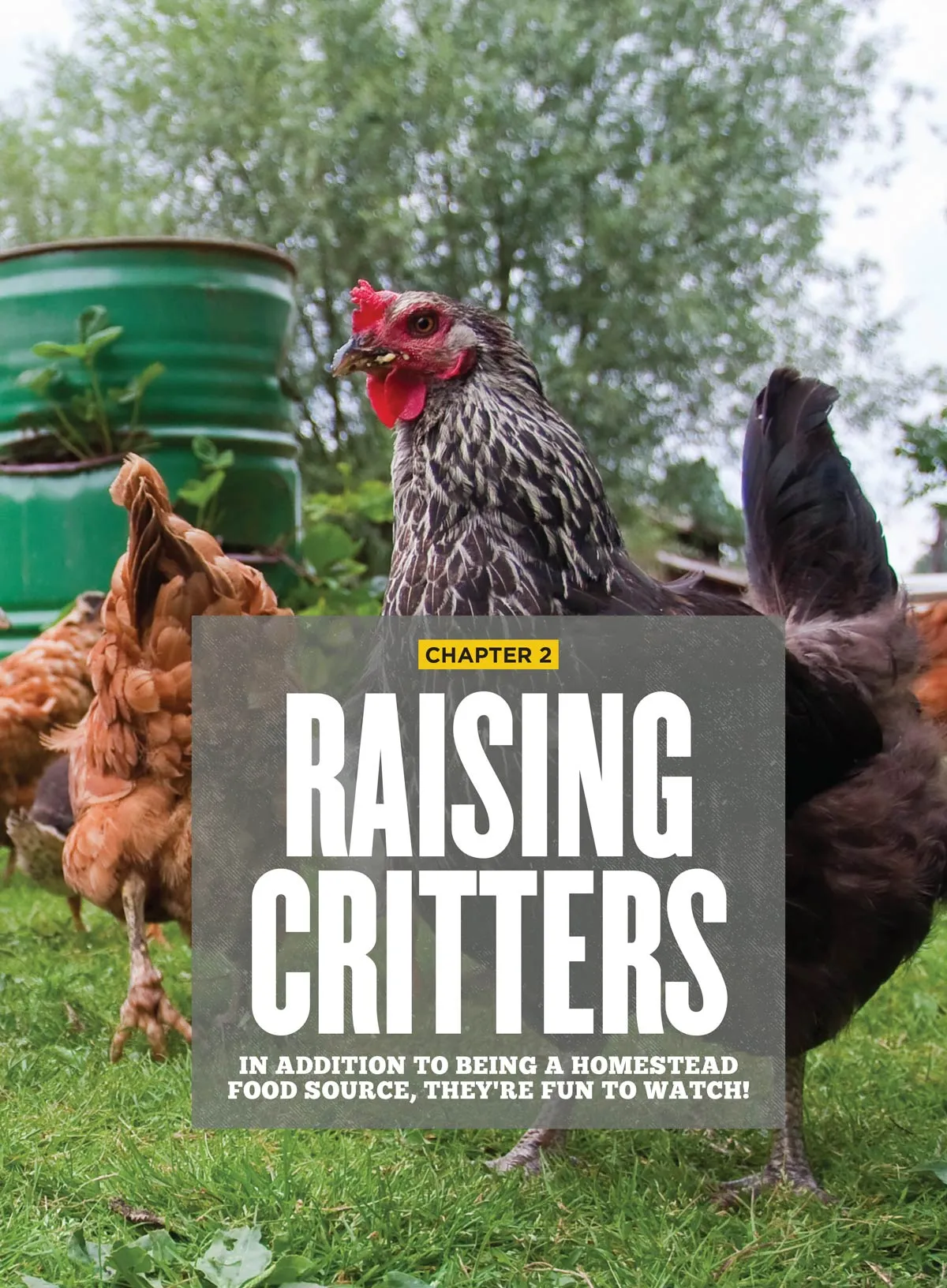 Backwoods Survival Guide - Living Off The Land No. 33: Frugal Living Tips, Suburban Homesteaders, Save Big On Gardening, Canning & Meal Prep Tips, Self-Sufficiency, Homegrown Food Production & More!