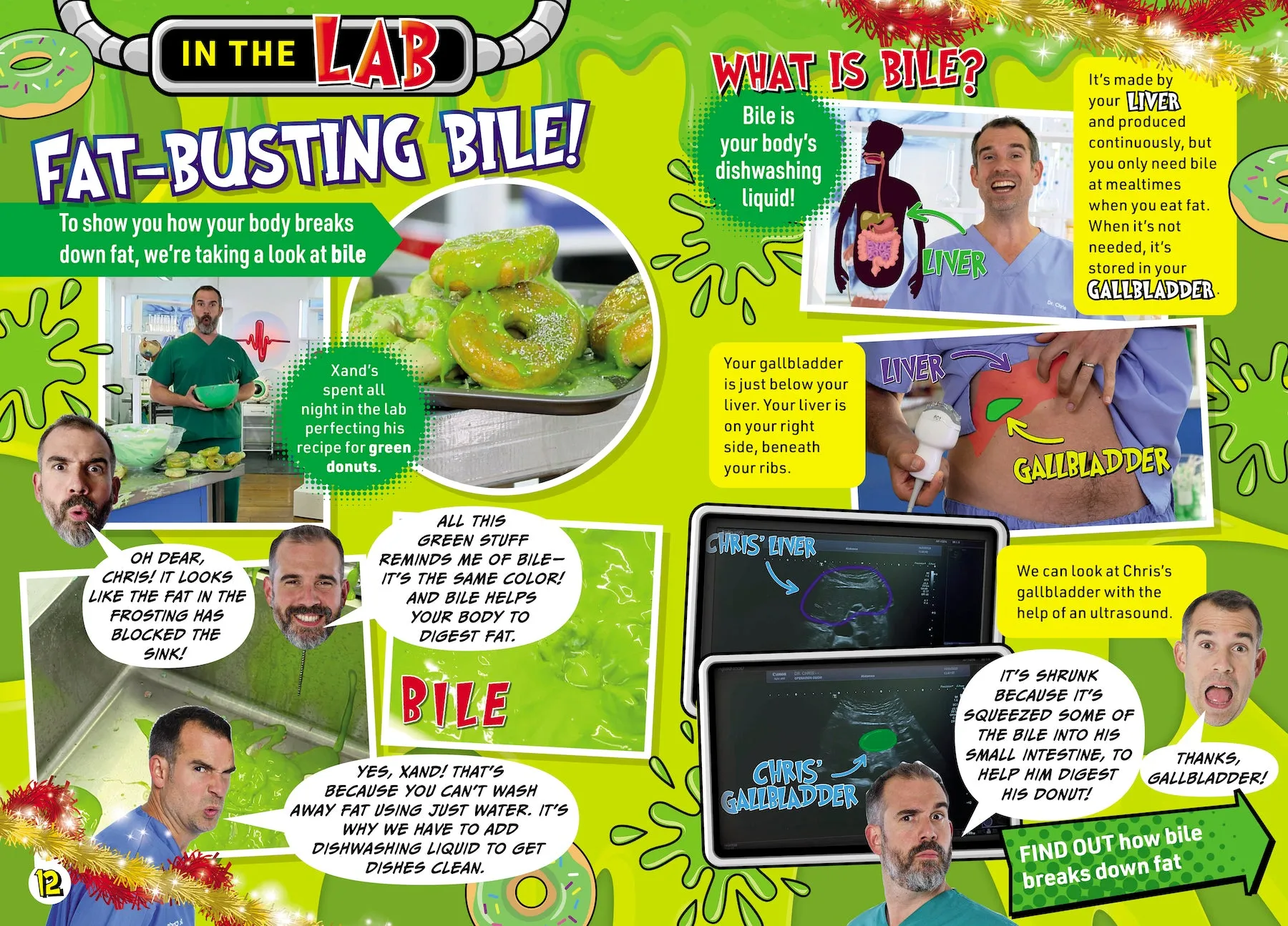 BBC - Operation Ouch: 27 Puzzles, Quizzes & Makes, Education, Dental Hygiene Tips, Brushing Teeth, Molar Maze, Enamel, Braces, Body Science, Muscles, Bile, Edible Ear Wax & Christmas Stocking Stuffer!