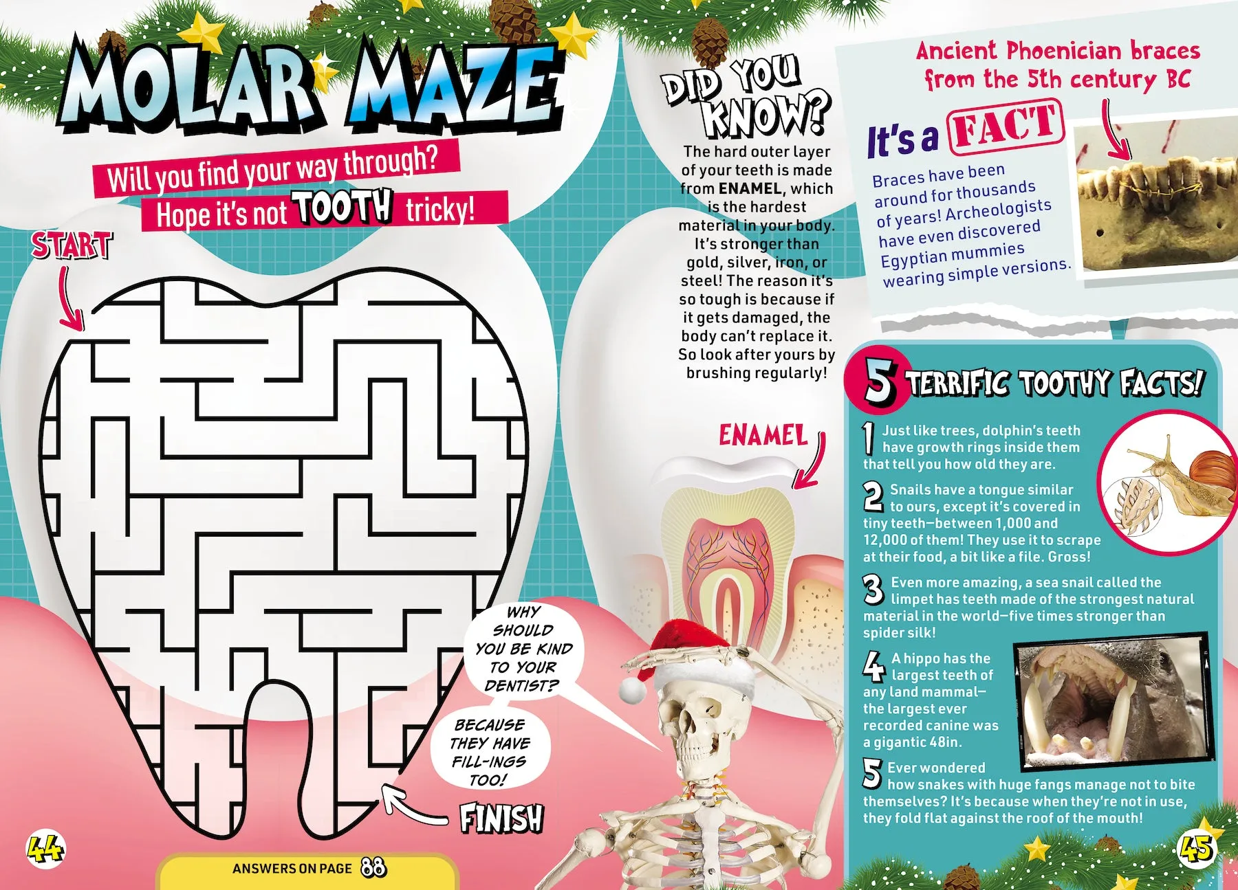 BBC - Operation Ouch: 27 Puzzles, Quizzes & Makes, Education, Dental Hygiene Tips, Brushing Teeth, Molar Maze, Enamel, Braces, Body Science, Muscles, Bile, Edible Ear Wax & Christmas Stocking Stuffer!