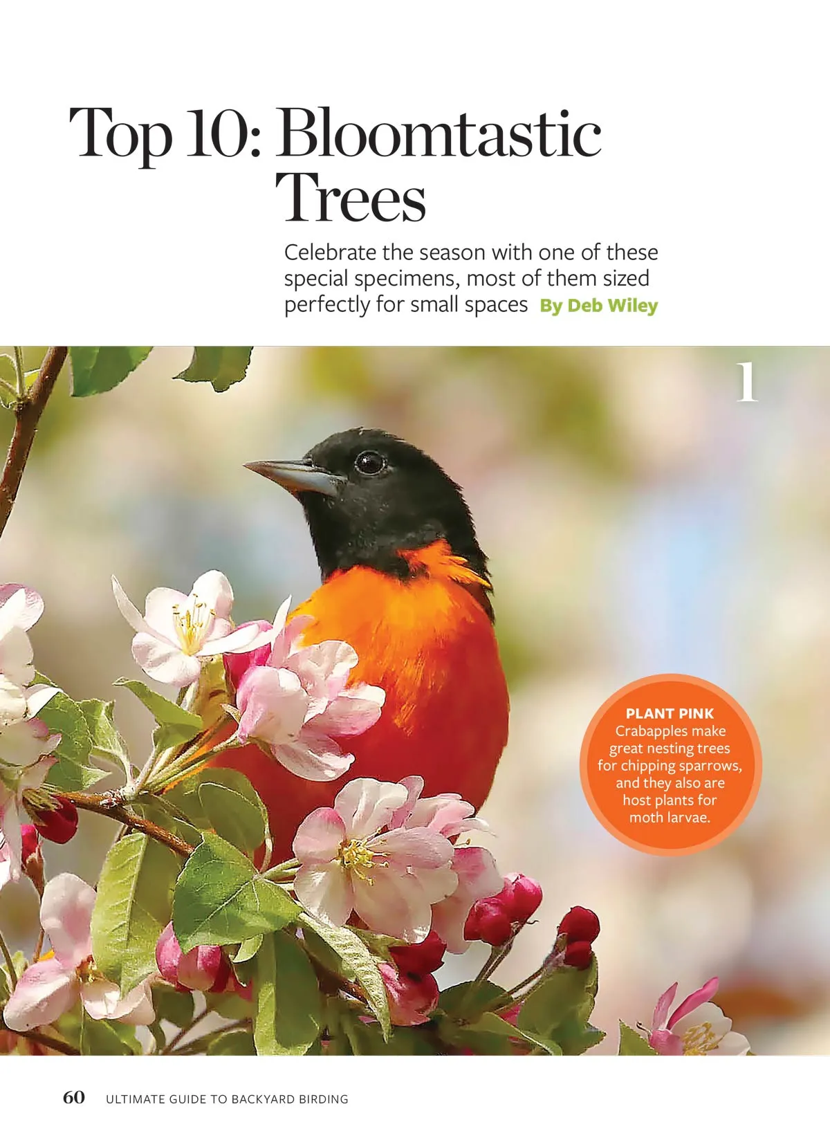 Birds & Blooms - Ultimate Guide To Backyard Birding: Attract Hummingbirds & More With Top Flowers, Feeders & Bird-Friendly Garden Tips & Enjoy Beautiful Birds Right In Your Garden!