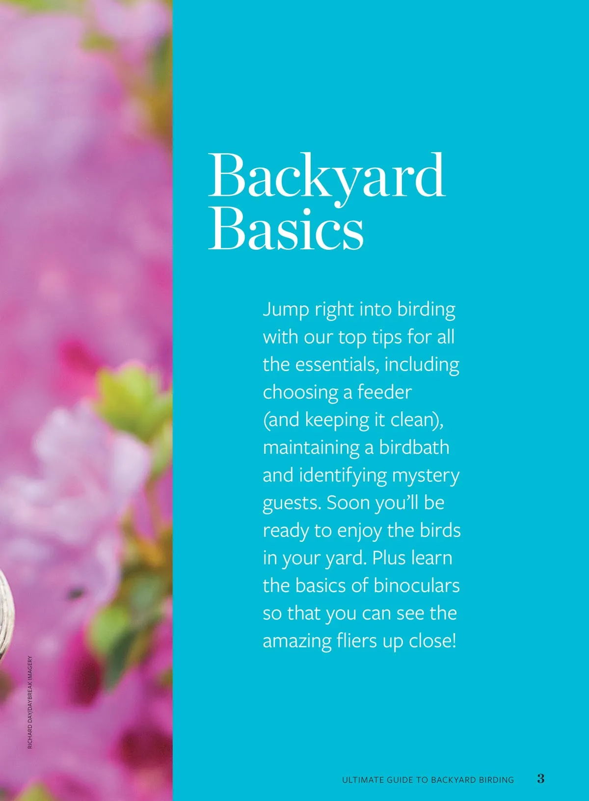 Birds & Blooms - Ultimate Guide To Backyard Birding: Attract Hummingbirds & More With Top Flowers, Feeders & Bird-Friendly Garden Tips & Enjoy Beautiful Birds Right In Your Garden!