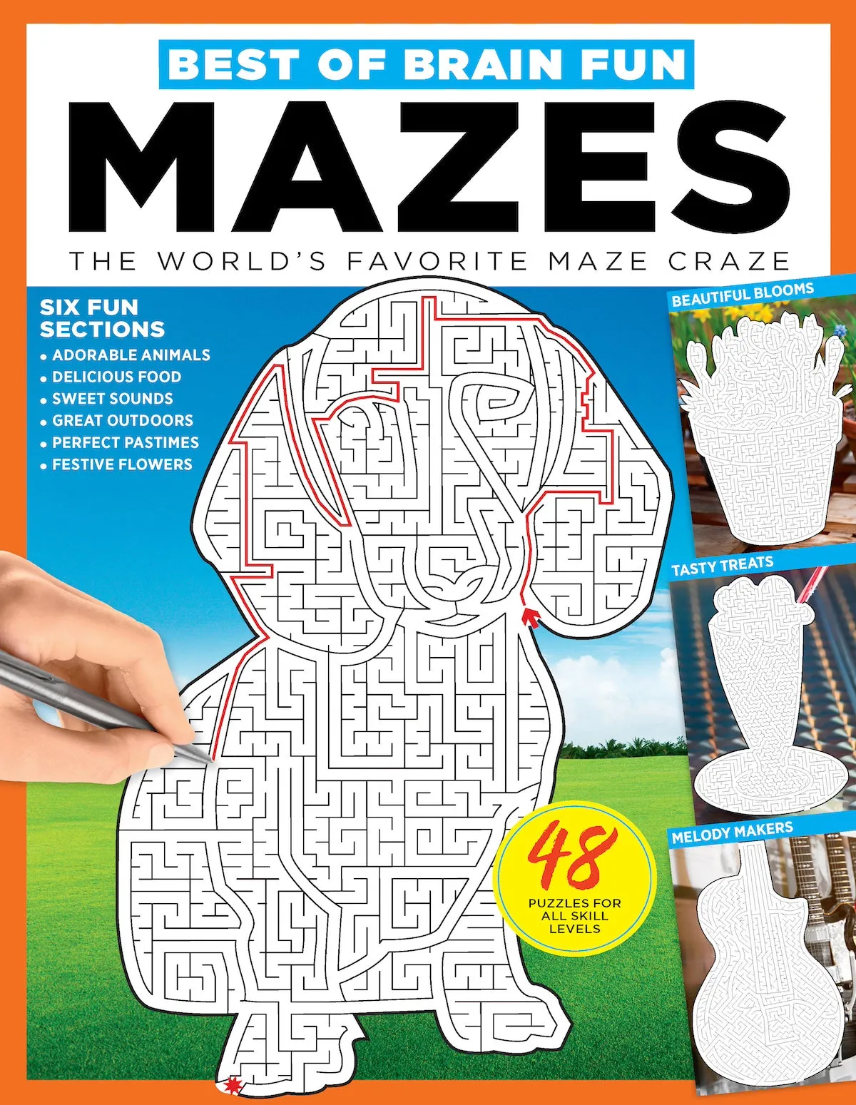 Brain Fun - Mazes: 48 Puzzles For All Skill Levels, Six Sections: Colorful Creatures, Tasty Treats, Soothing Sights, Cruise Control, Great Escapes, Magic Media