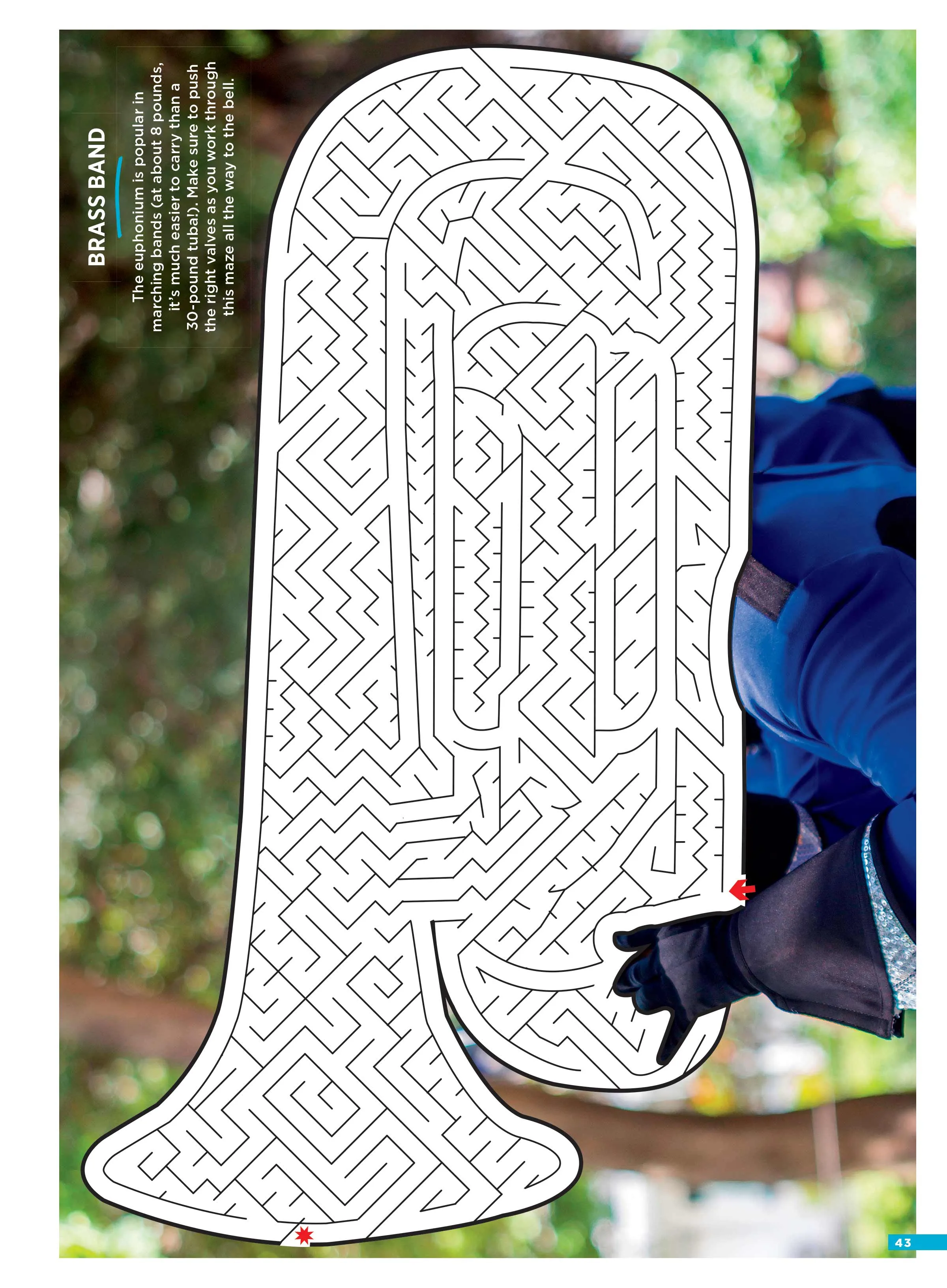 Brain Fun - Mazes: 48 Puzzles For All Skill Levels, Six Sections: Colorful Creatures, Tasty Treats, Soothing Sights, Cruise Control, Great Escapes, Magic Media