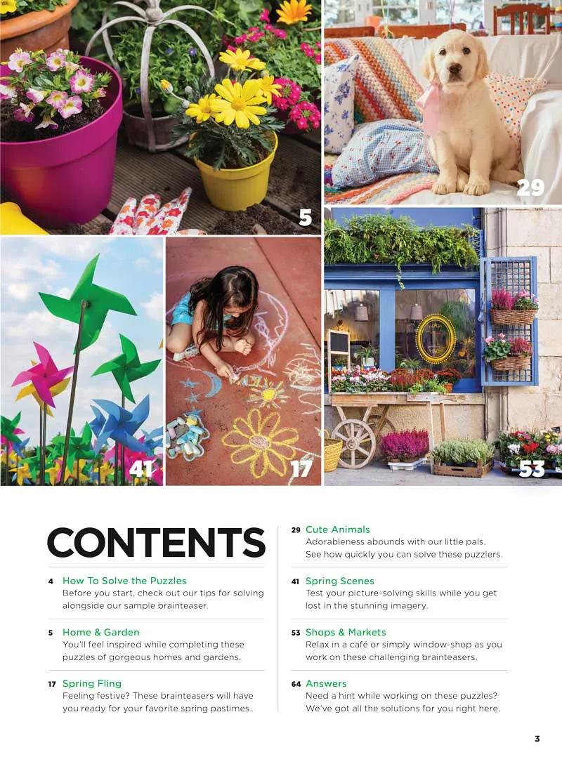 Brain Fun - Picture Puzzles: Spot 261 Differences, Spring Gardens, Pastimes, Cute Animals, Scenery, Shops, Markets, Plus Taylor Swift Easter Egg Hunt, Brain Challenge, Unwind, Unplug, Relax & Solve!
