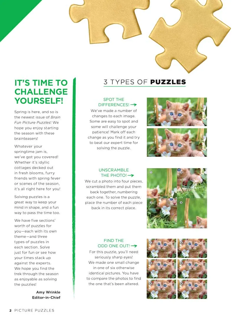 Brain Fun - Picture Puzzles: Spot 261 Differences, Spring Gardens, Pastimes, Cute Animals, Scenery, Shops, Markets, Plus Taylor Swift Easter Egg Hunt, Brain Challenge, Unwind, Unplug, Relax & Solve!