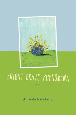 Bright Brave Phenomena CHPbeta