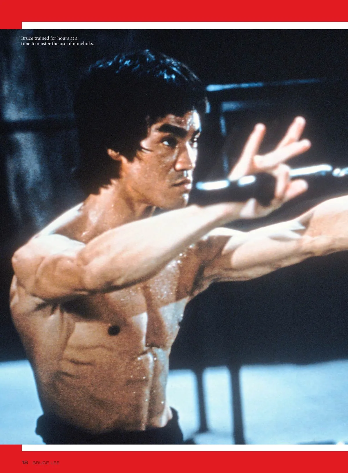 Bruce Lee - The Untold Story Of The Kung Fu Master, Childhood, Big Hollywood Break, His Philosophy & Legacy, Death, Ultimate Movie Guide, Enter The Dragon, Fist Of Fury, The Orphan, 100  Photos & More