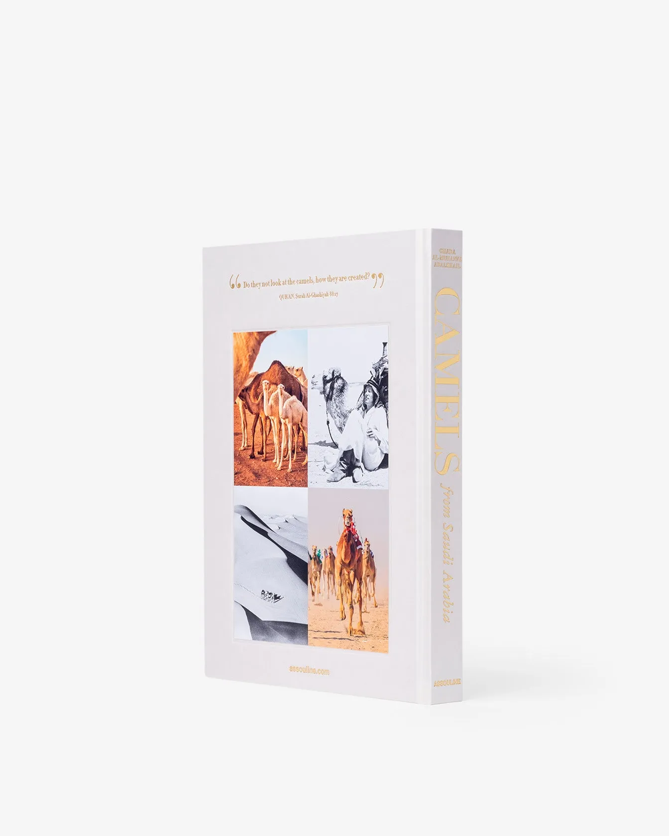 Camels from Saudi Arabia (Classic) Assouline