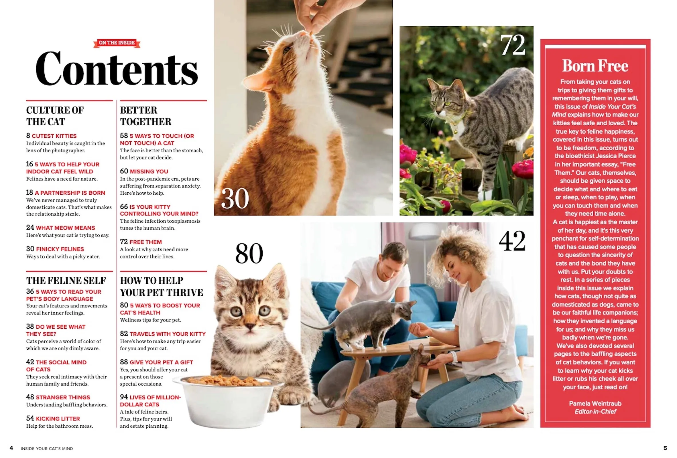 Cats - Inside Their Mind: Understand Their Body Language Decoding Baffling Behaviors Easy Ways to Strengthen Your Bond