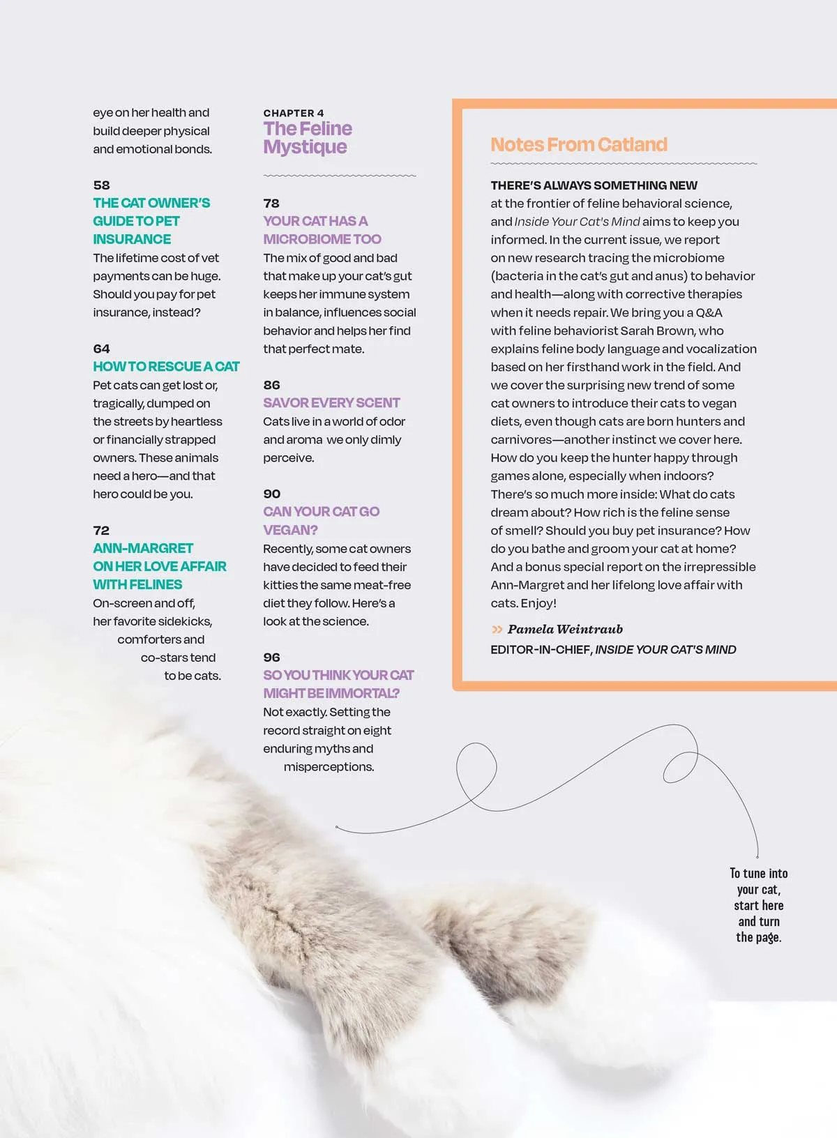 Cat's Mind - What They Really Think: What They Dream About, Reading Their Body Language, Can They Go Vegan, Secret Language Of Meows, Think Like A Cat, Whiskers, Q&A, Feelings, Microbiome & More!