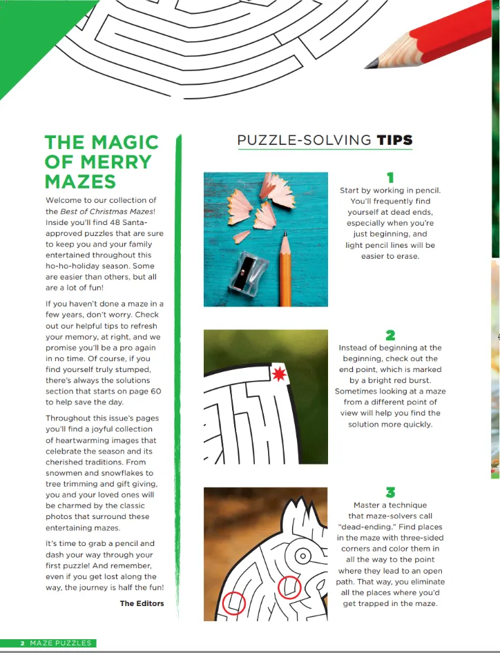 Christmas Mazes - 48 Puzzles For All Skill Levels, Family Fun, Festive Categories, Holiday Cheer, Outdoor Fun, Magical Trees, Sweet Treats, Helpful Tips, Challenge Brain, Relax, Unwind, Unplug & Solve