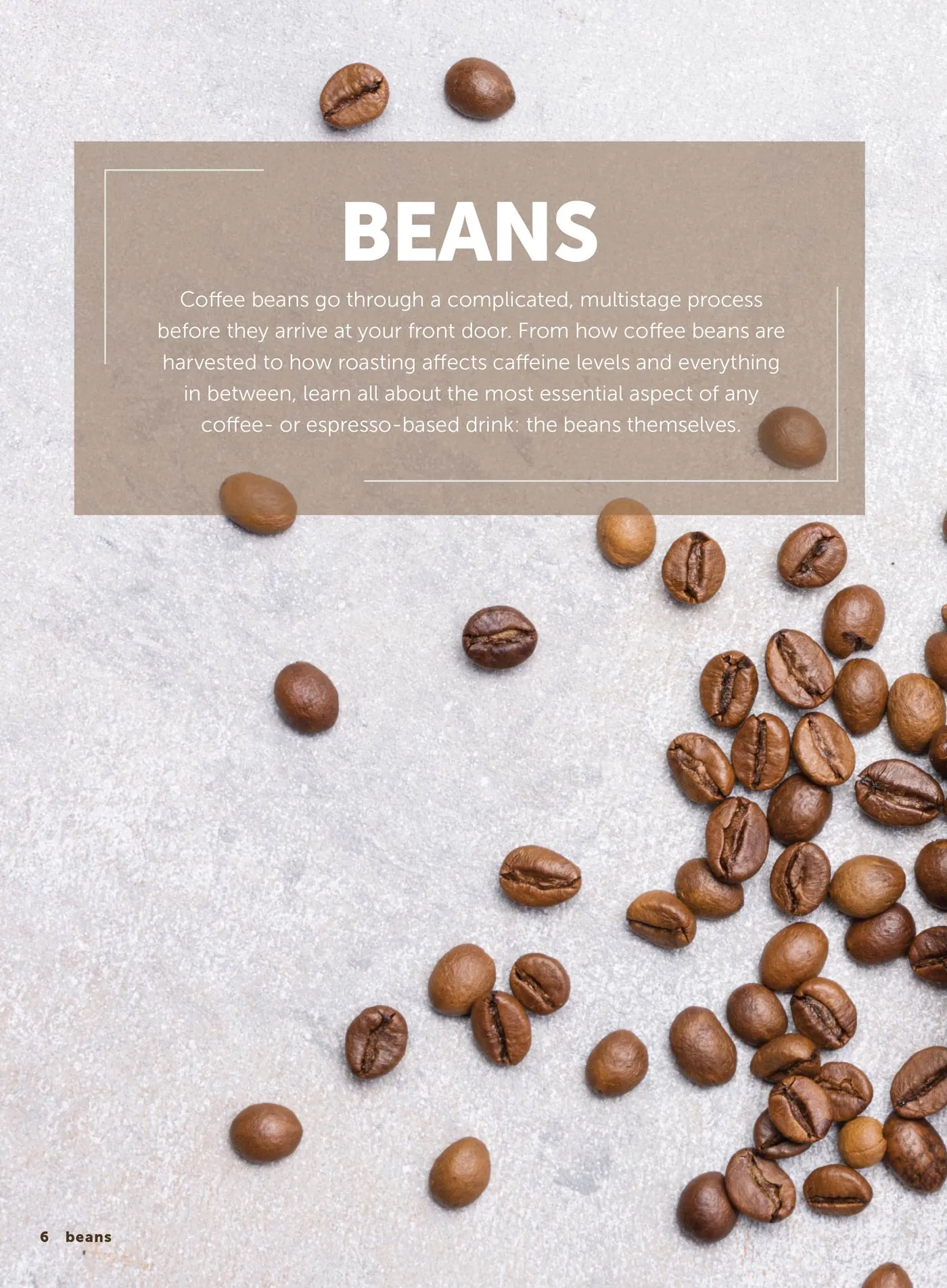 Coffee Lovers Guide - Unleash Your Passion For Coffee: Make Coffee Syrups From Scratch, Perfect Your Brew, Master Flavor Enhancements, Create Caf-Quality Drinks From The Comfort Of Your Home & More!
