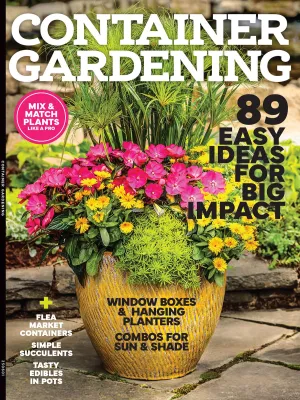 Container Gardening - 89 Easy Ideas To Enhance Your Outdoor Space! Mix & Match Plants, Flea Market Containers, Combos For Sun & Shade, Succulents,Vibrant Colors, Window Boxes, Hanging Planters & More!
