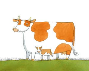 Cow PRINT Alison Lester