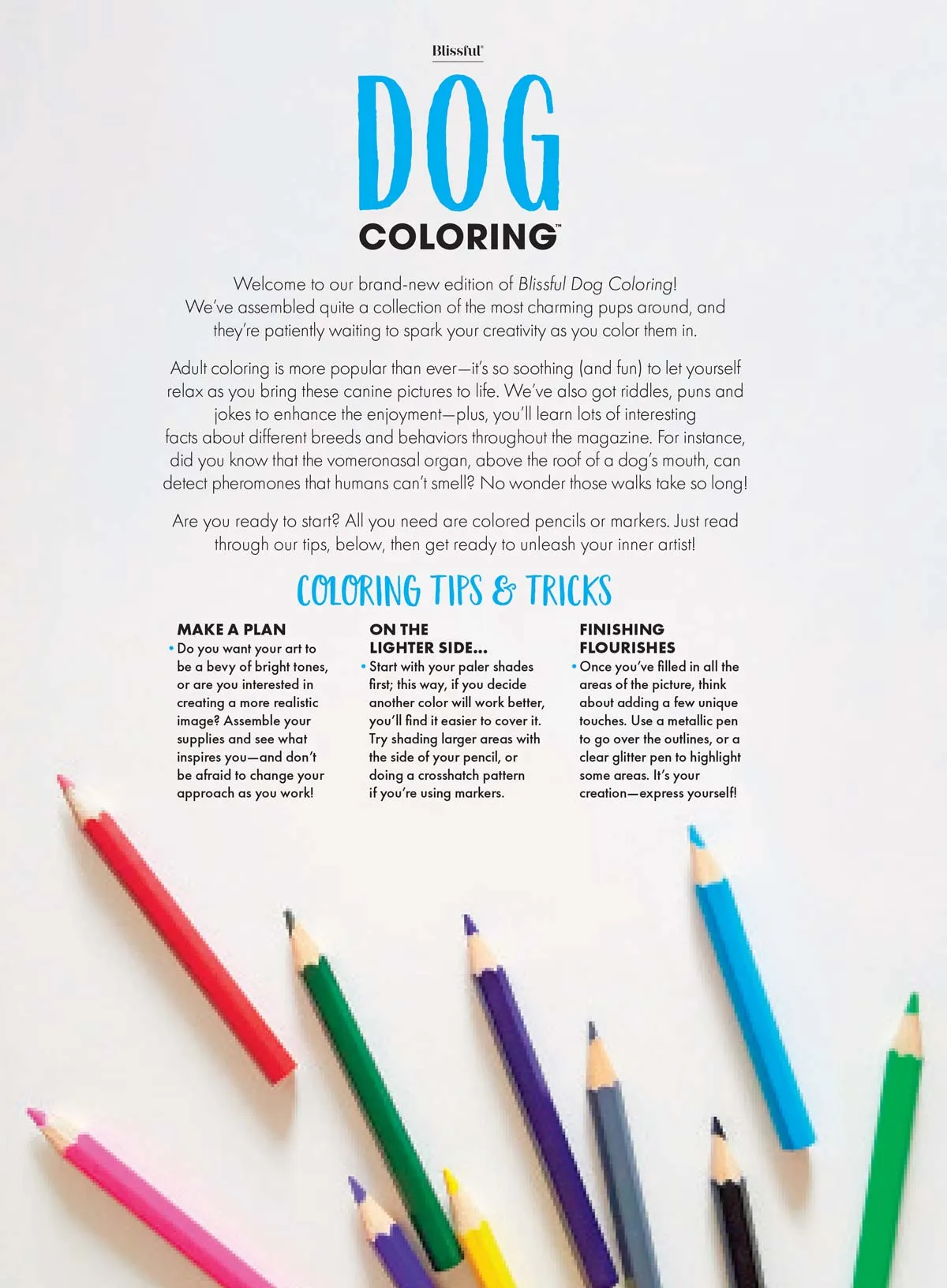 Dog Coloring - 32 Inspiring Designs, Bring Canine Pictures To Life, All Breeds, Riddles, Puns, Jokes & Fun Facts, Adult Coloring Book, Unlock Creativity, Relax, Unwind, Unplug, Reduce Anxiety & Draw!