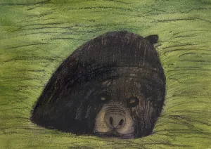 Elephant Seal Sleeping PRINT Alison Lester