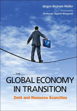 Global Economy In Transition The Debt And Resource Scarcities Hardcover