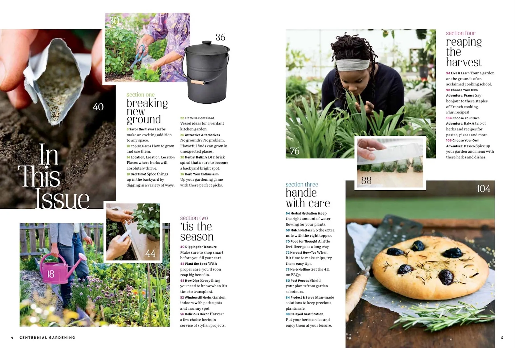 Grow Your Own Herbs - The Ultimate Gardening Guide: Soil Essentials, Easy Planting Tips, Indoor Growing, Harvest & Preserve   50 Ideas for Everyday Use
