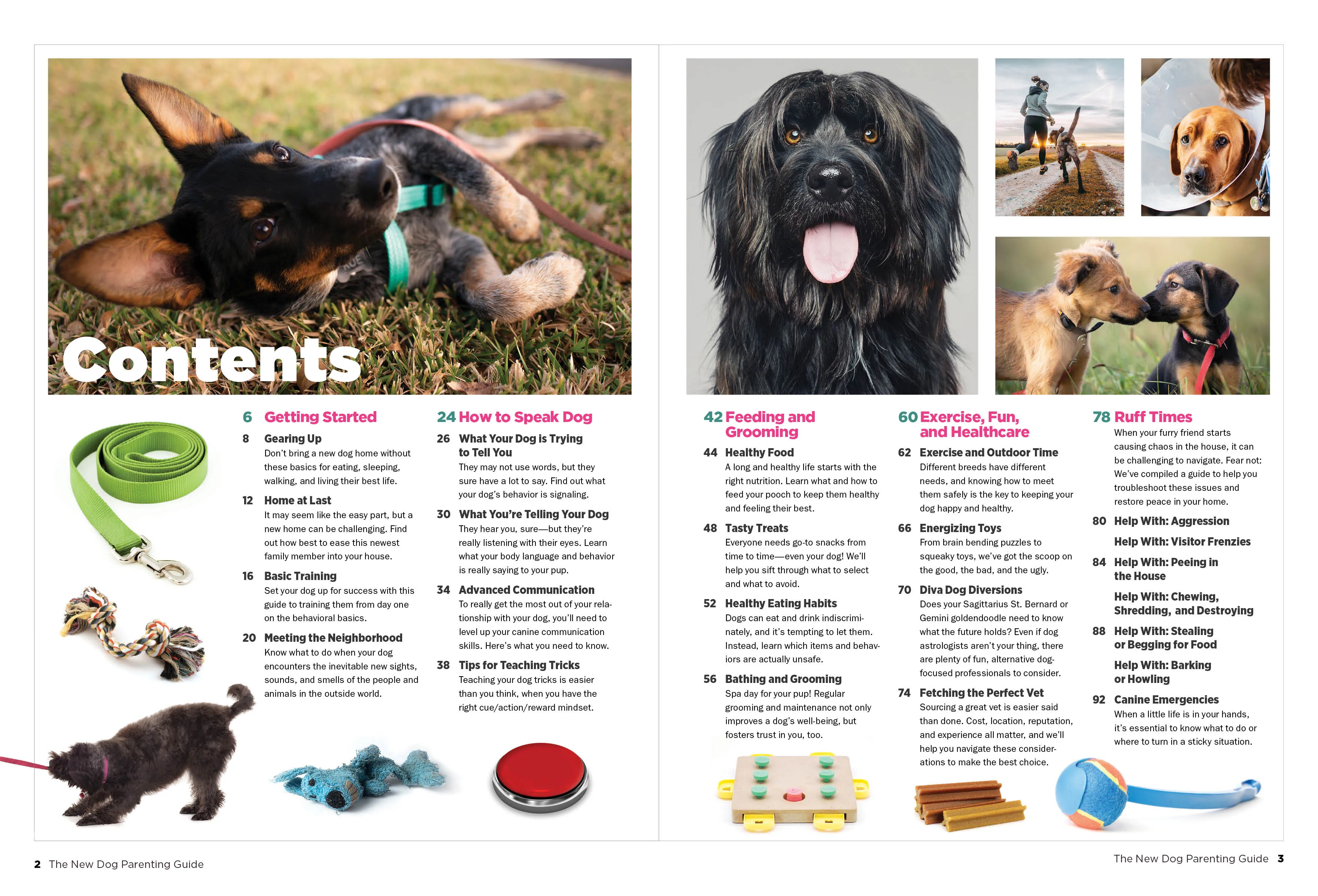 Guide to Dog Parenting - Expert Tips for a Well Adjusted Dog Toys That Stimulate Training & Tricks Humane Grooming Finding The Right Vet