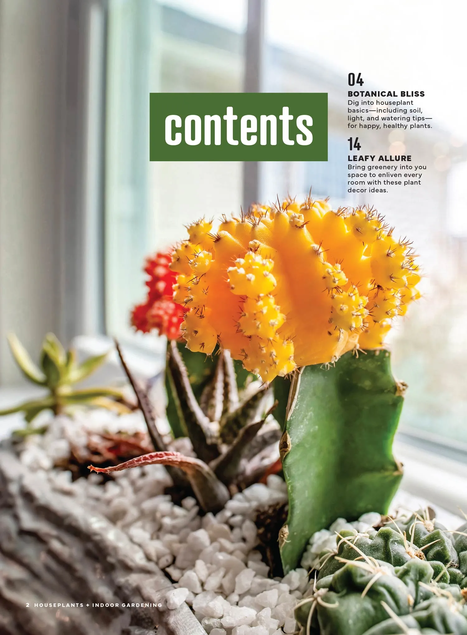 Houseplants & Indoor Gardening - Botanical Bliss: Explore The Vibrant World Of Indoor Gardening, 75 Stunning Container Ideas, Transform Your Home, Grow Indoor Herbs, DIY Projects, Tips & More!
