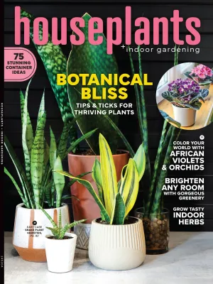 Houseplants & Indoor Gardening - Botanical Bliss: Explore The Vibrant World Of Indoor Gardening, 75 Stunning Container Ideas, Transform Your Home, Grow Indoor Herbs, DIY Projects, Tips & More!