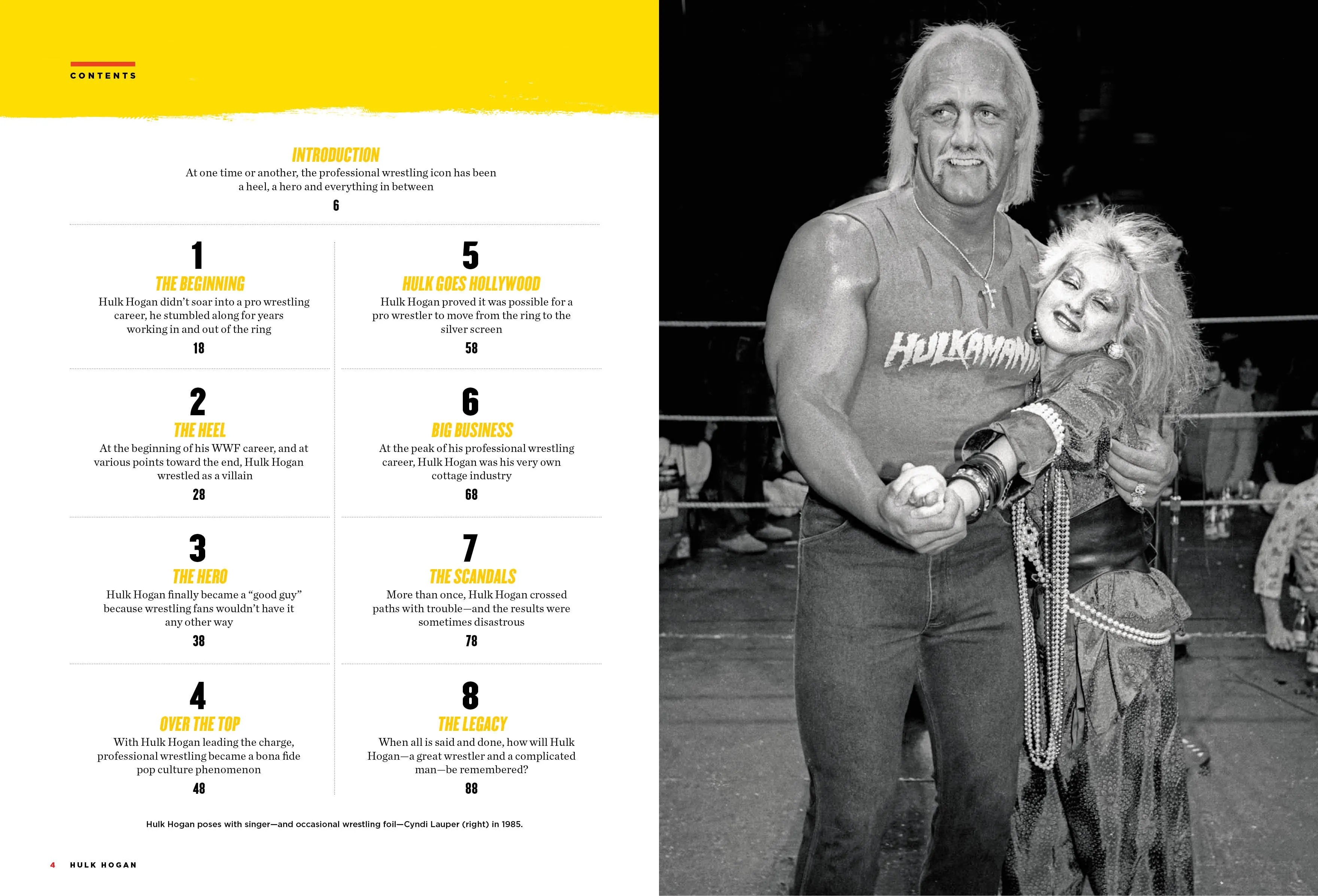 Hulk Hogan - The Unbelievable True Story Of A Pro Wrestler: Starting In The 1980s Beginning To Recent Times & How His Legacy Will Be Remembered