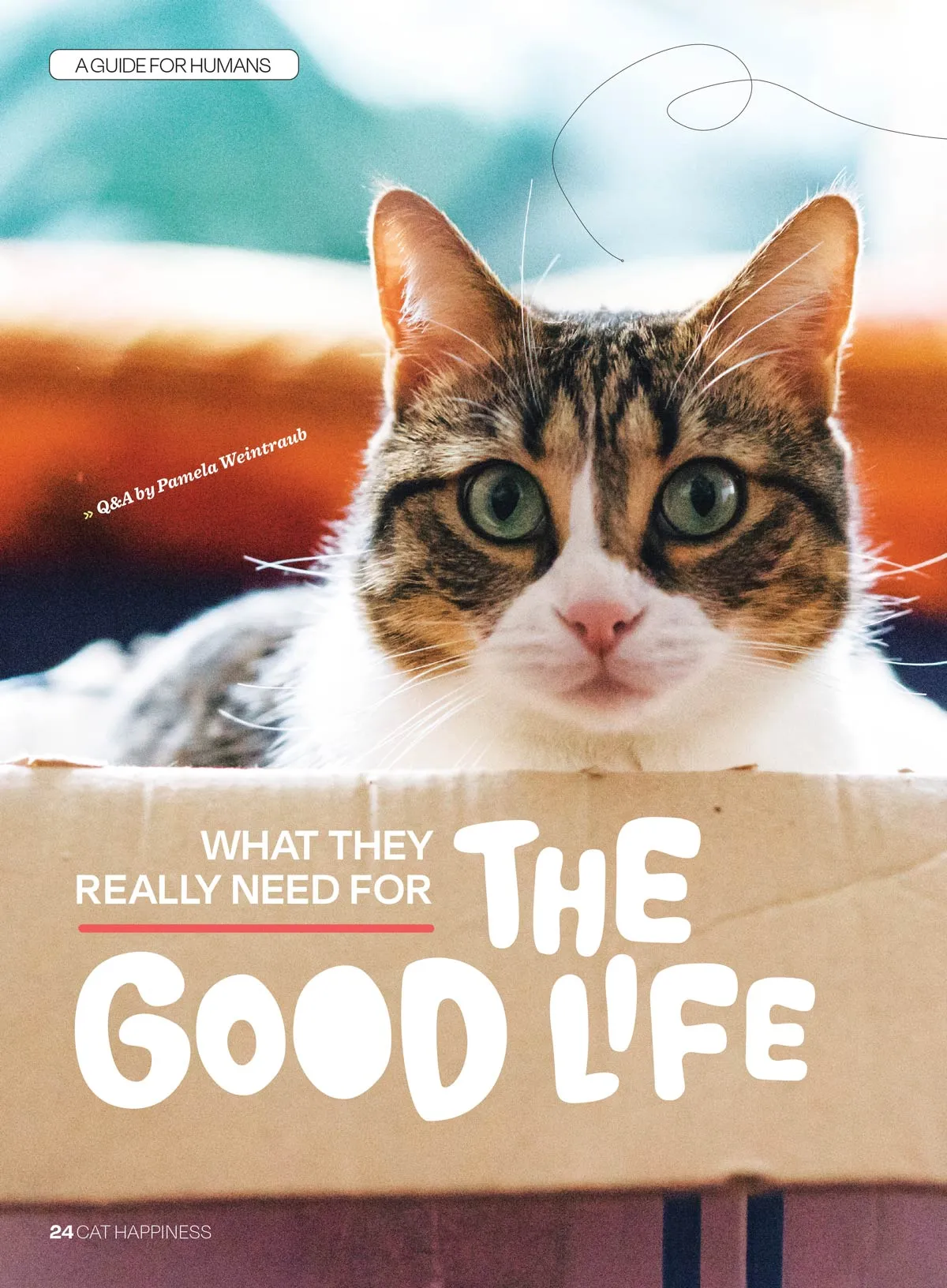 Inside Your Cats Mind - Cat Happiness: Raise A Great Cat, The Sunniest Breeds, Celebrate Their Sense Of Smell, Insider Tips On Play, Honor Their Choices, Thrill Of The Indoor Jungle, Catnip & More!