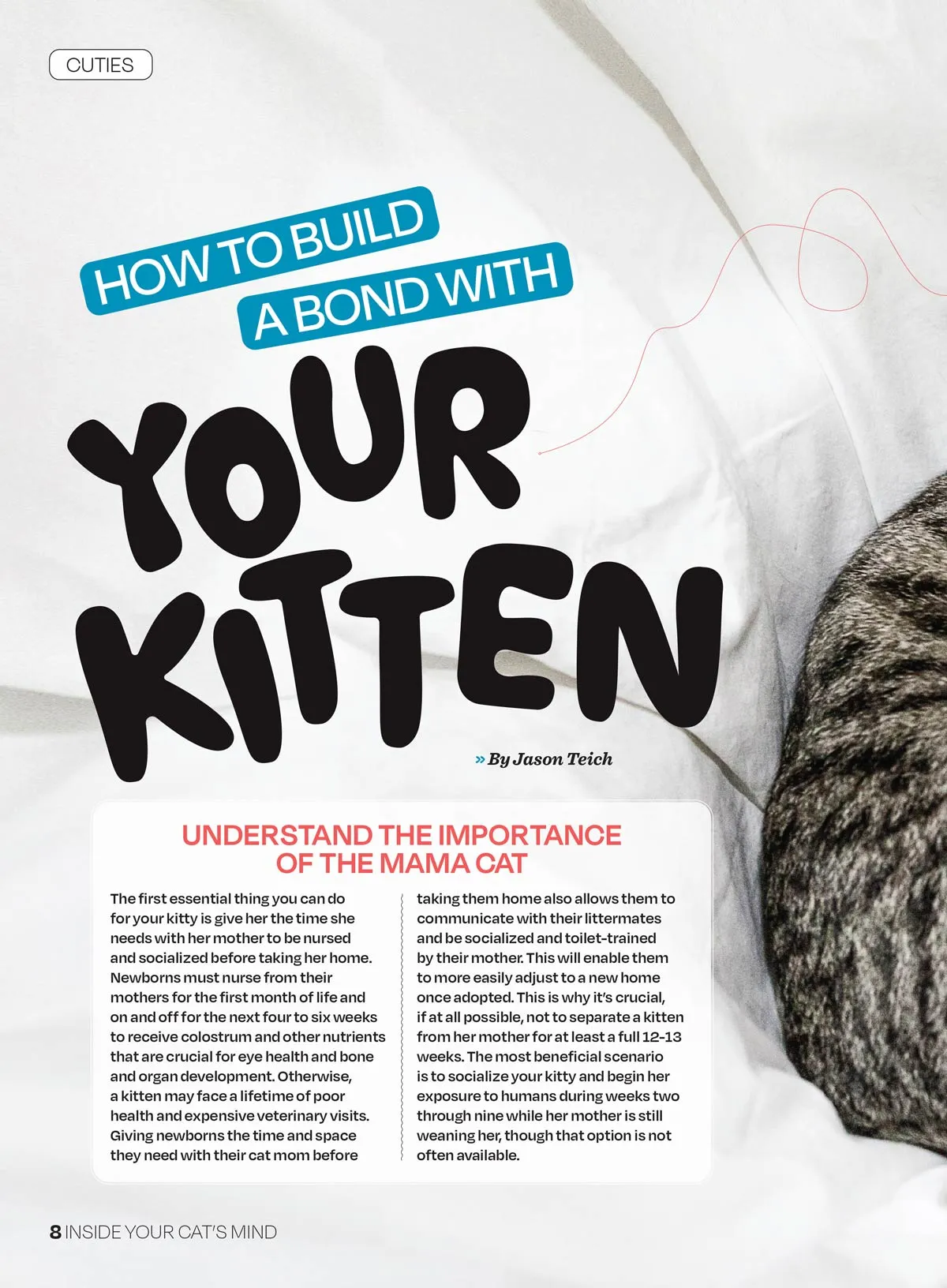 Inside Your Cats Mind - Essential Tips For Bonding, Communication, Understanding Emotional Unique Needs, Creating A Happy Cat-Friendly Home, Strengthening Your Feline Companionship & More!