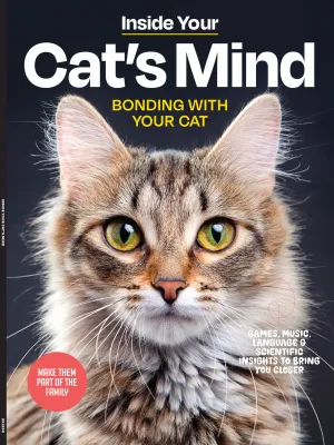 Inside Your Cats Mind - Essential Tips For Bonding, Communication, Understanding Emotional Unique Needs, Creating A Happy Cat-Friendly Home, Strengthening Your Feline Companionship & More!
