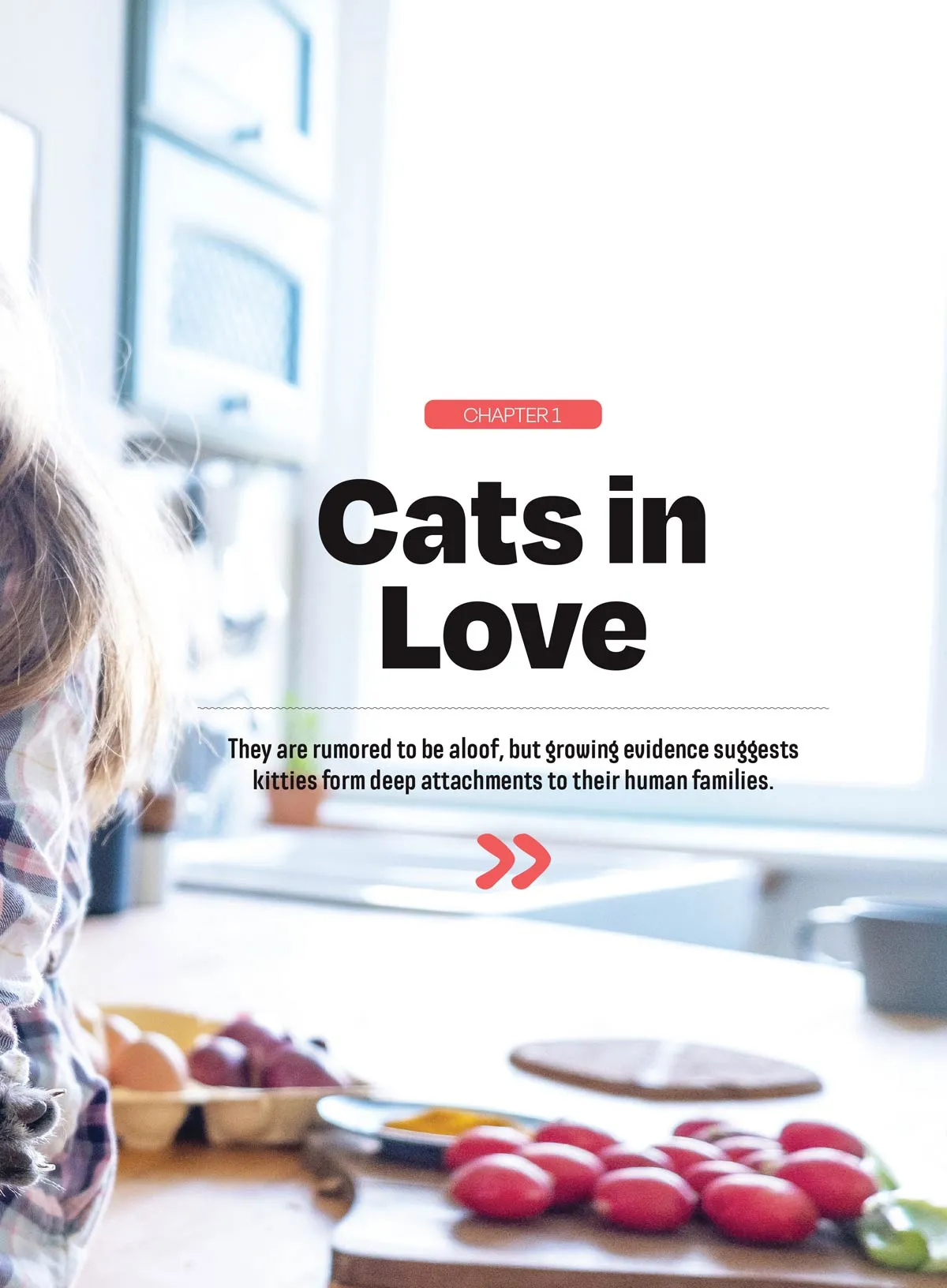 Inside Your Cats Mind - Essential Tips For Bonding, Communication, Understanding Emotional Unique Needs, Creating A Happy Cat-Friendly Home, Strengthening Your Feline Companionship & More!