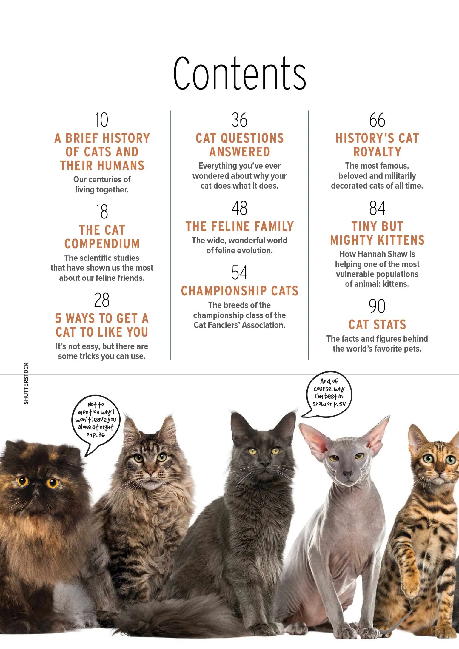 Inside Your Cat's Mind - Guide to Speak Fluent Feline, History & Evolution, 5 Ways To Get A Cat To Like You, FAQs, Cat Royalty, Kittens, Stats, Fun Facts, Championship Breeds, Health Benefits & More!