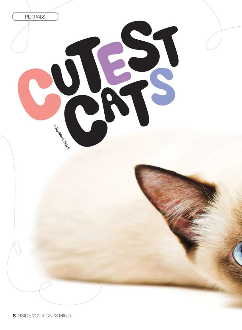 Inside Your Cat's Mind - Reading Cat's Face, Decoding Tails, Whiskers, Blinks, Meow Meaning, How To Play, Sleeping, Catnip, Training, Intelligence Test, Senses & Is Fur Color Linked To Personality?
