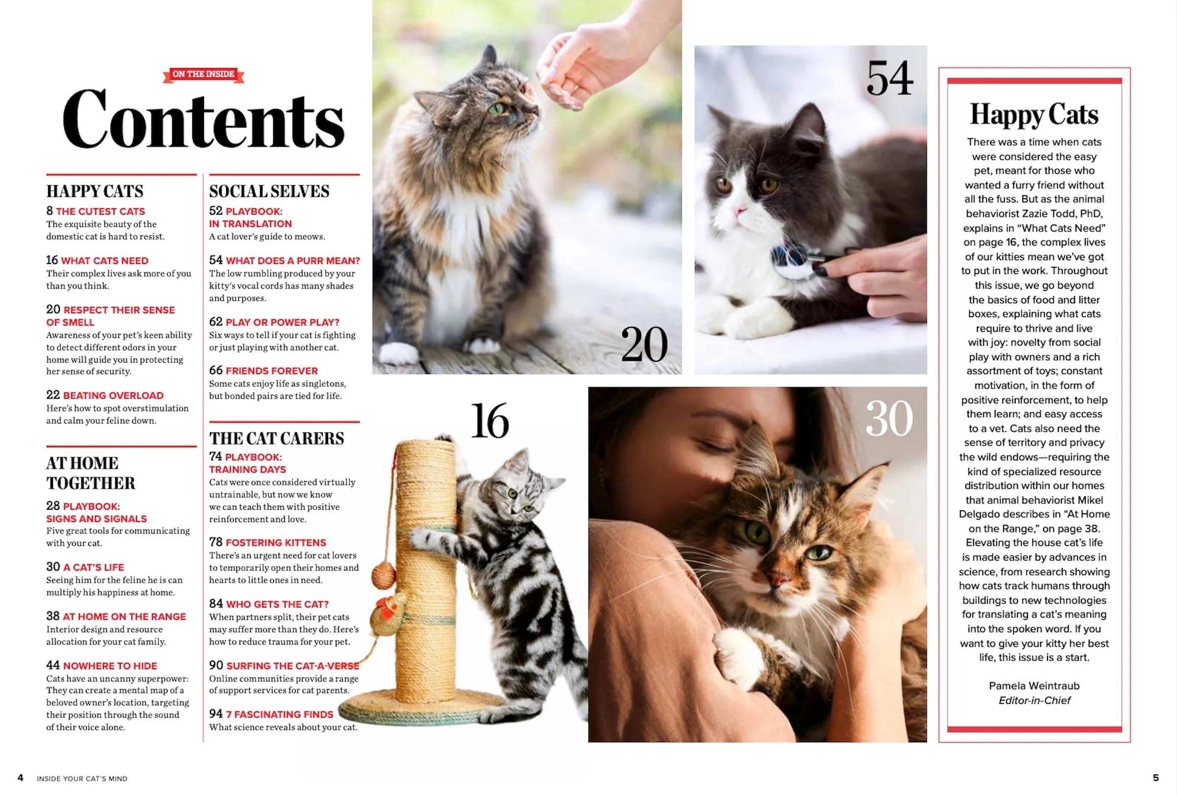 Inside Your Cats Mind - What They Really Think & Need, Dr. Zazie Todd & Mikel Delgado Animal Behaviorist, 10 Essential Strategies For Their Happiness, The Many Meanings Of The Purr & More!