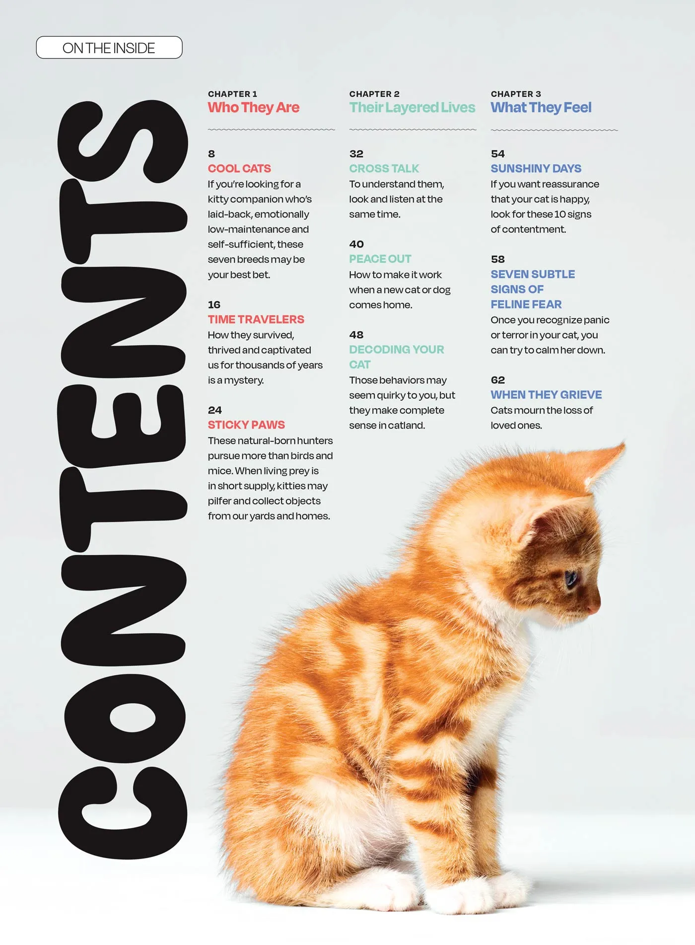 Inside Your Cats Mind - What They Really Think: Crack The Code Of Cat Emotions, Secret Mind-Body Language, How To Care For Your Cat, Art Of The Bath, Therapies For Cats & Can Cats & Dogs Be Friends?
