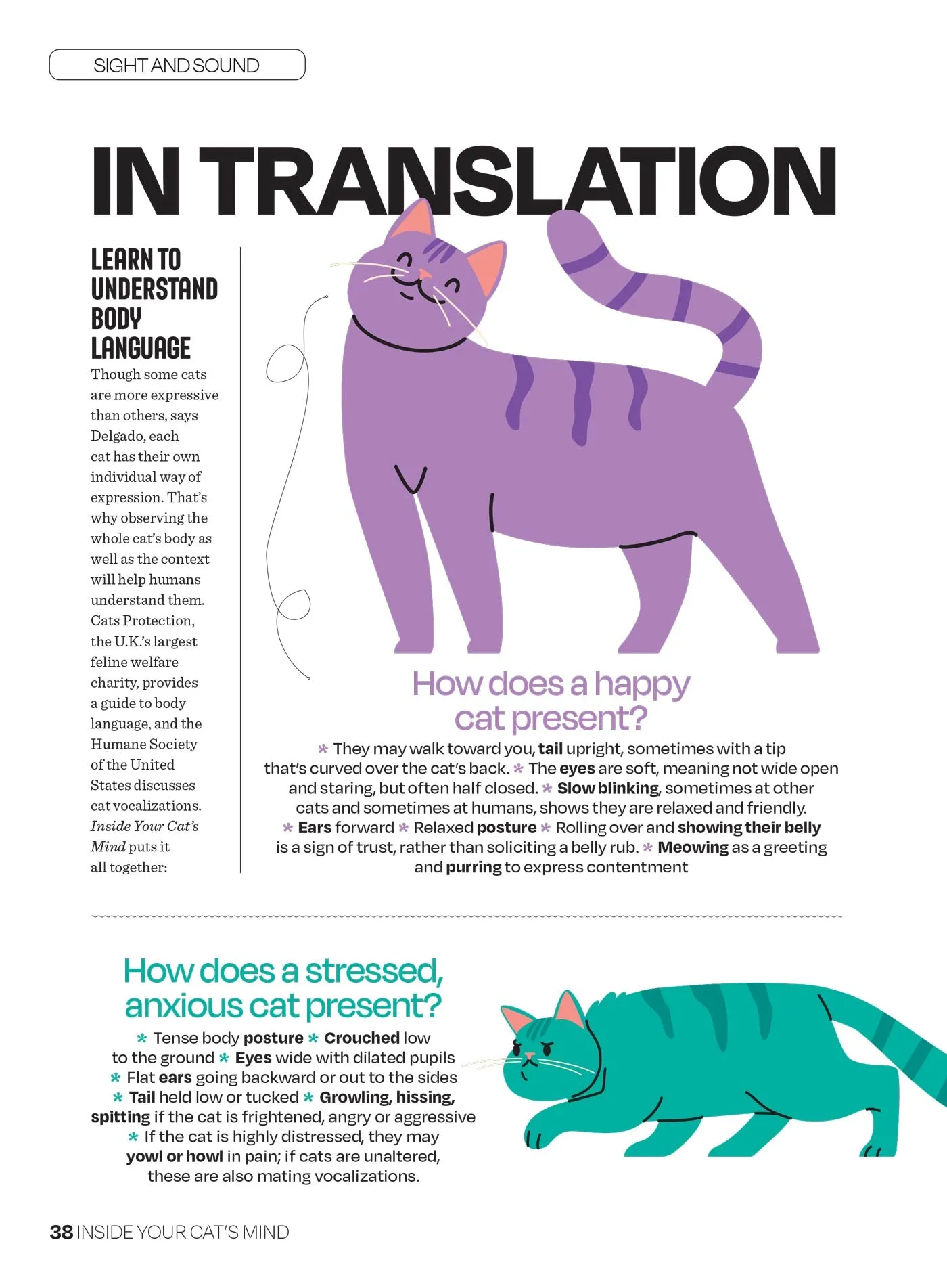 Inside Your Cats Mind - What They Really Think: Crack The Code Of Cat Emotions, Secret Mind-Body Language, How To Care For Your Cat, Art Of The Bath, Therapies For Cats & Can Cats & Dogs Be Friends?