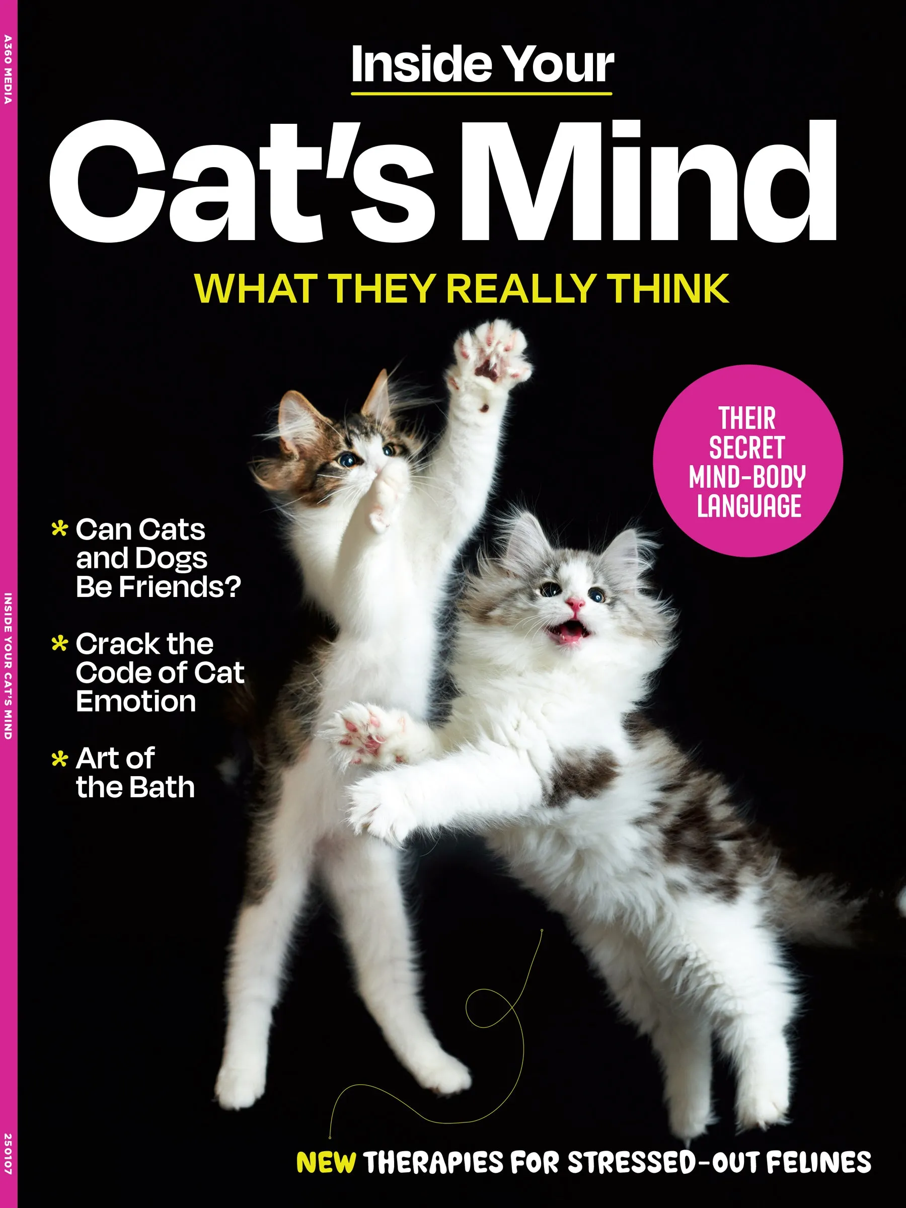 Inside Your Cats Mind - What They Really Think: Crack The Code Of Cat Emotions, Secret Mind-Body Language, How To Care For Your Cat, Art Of The Bath, Therapies For Cats & Can Cats & Dogs Be Friends?
