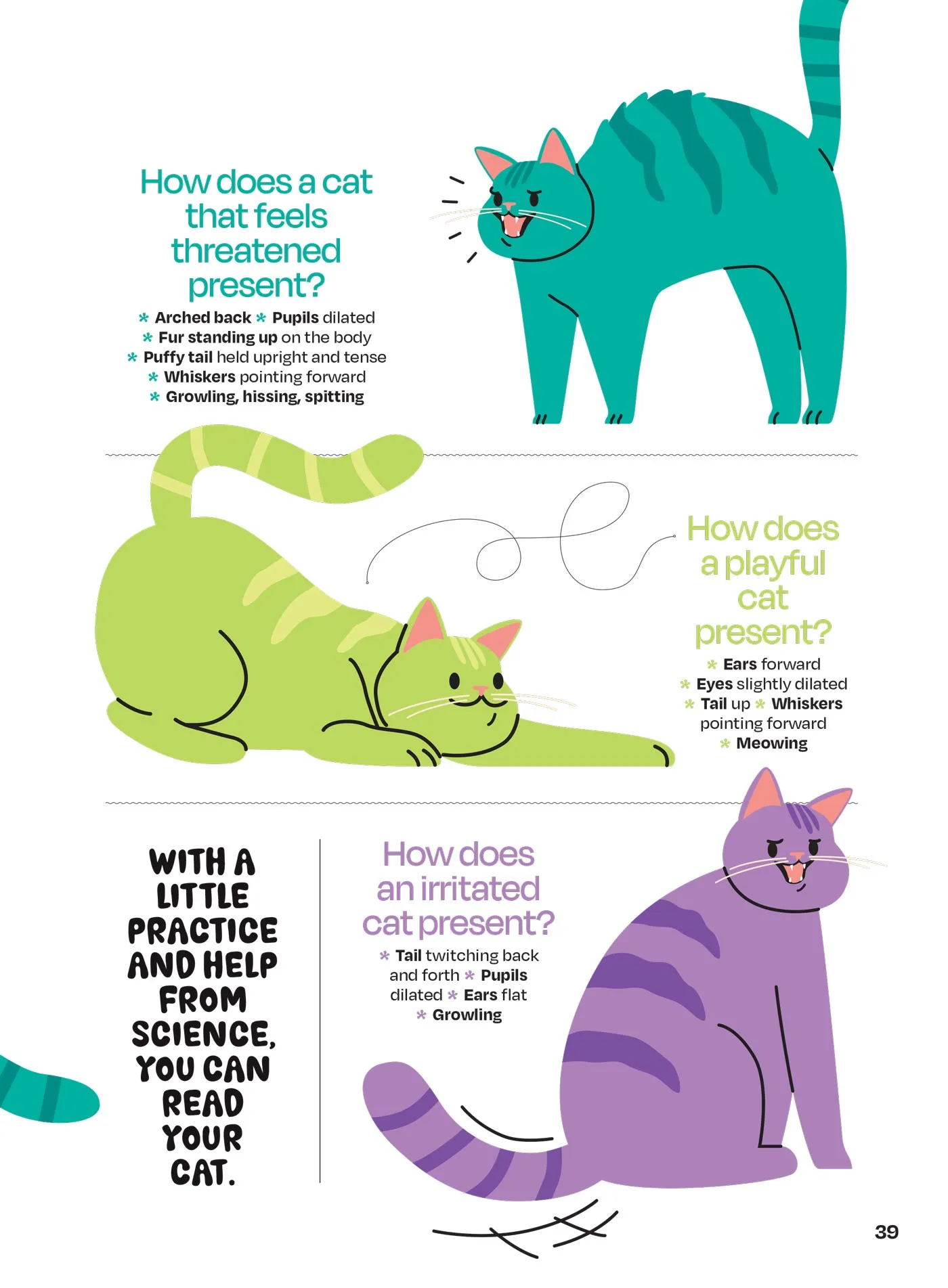 Inside Your Cats Mind - What They Really Think: Crack The Code Of Cat Emotions, Secret Mind-Body Language, How To Care For Your Cat, Art Of The Bath, Therapies For Cats & Can Cats & Dogs Be Friends?