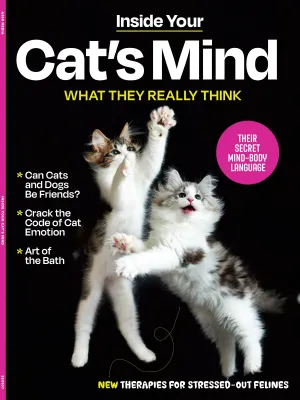 Inside Your Cats Mind - What They Really Think: Crack The Code Of Cat Emotions, Secret Mind-Body Language, How To Care For Your Cat, Art Of The Bath, Therapies For Cats & Can Cats & Dogs Be Friends?
