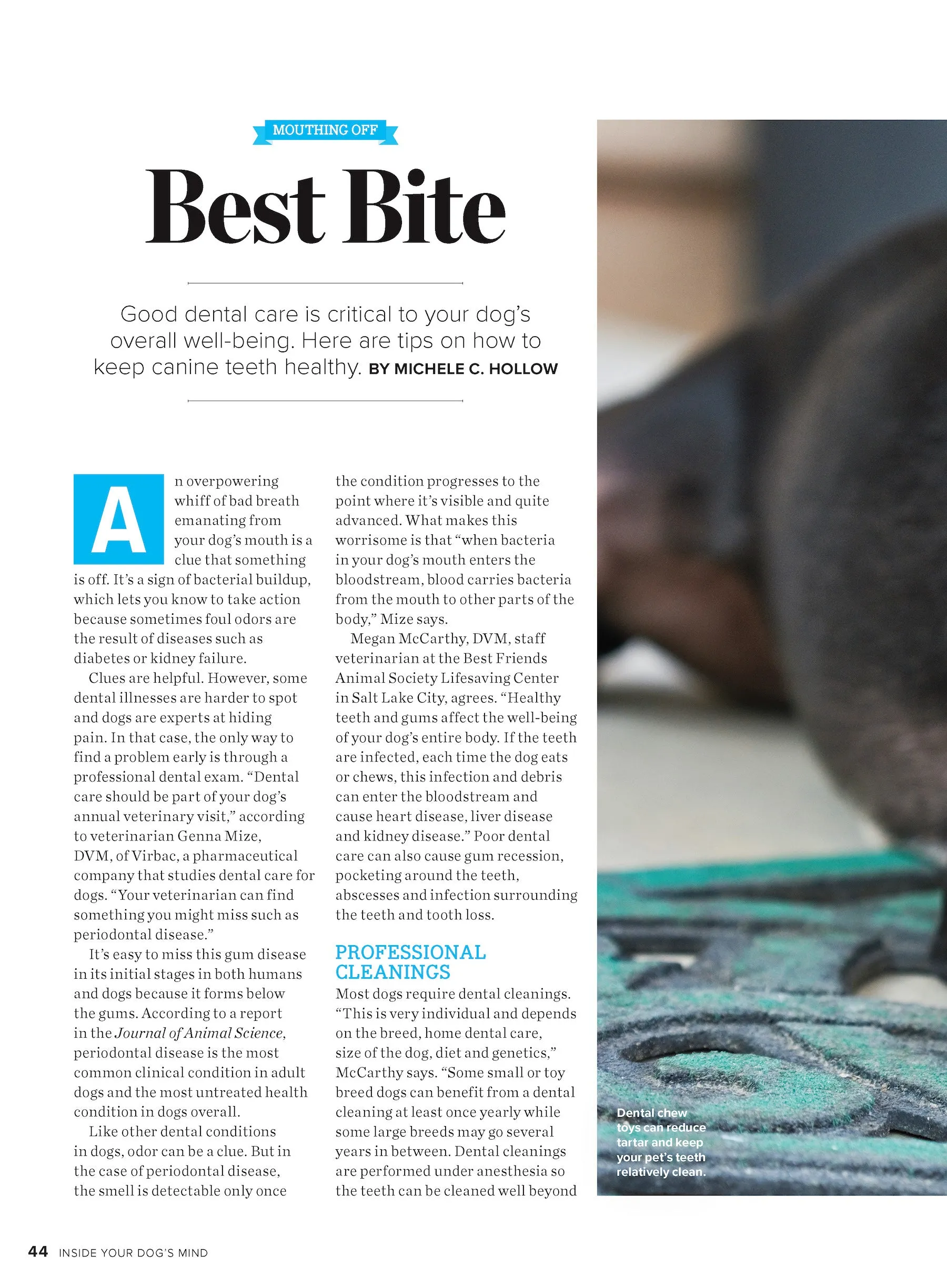 Inside Your Dog's Mind - New Discoveries: What They Really Think, Understand Their World, Decode Your Pet's Personality, Dog Dreams Explained   Teach Your Pup English!