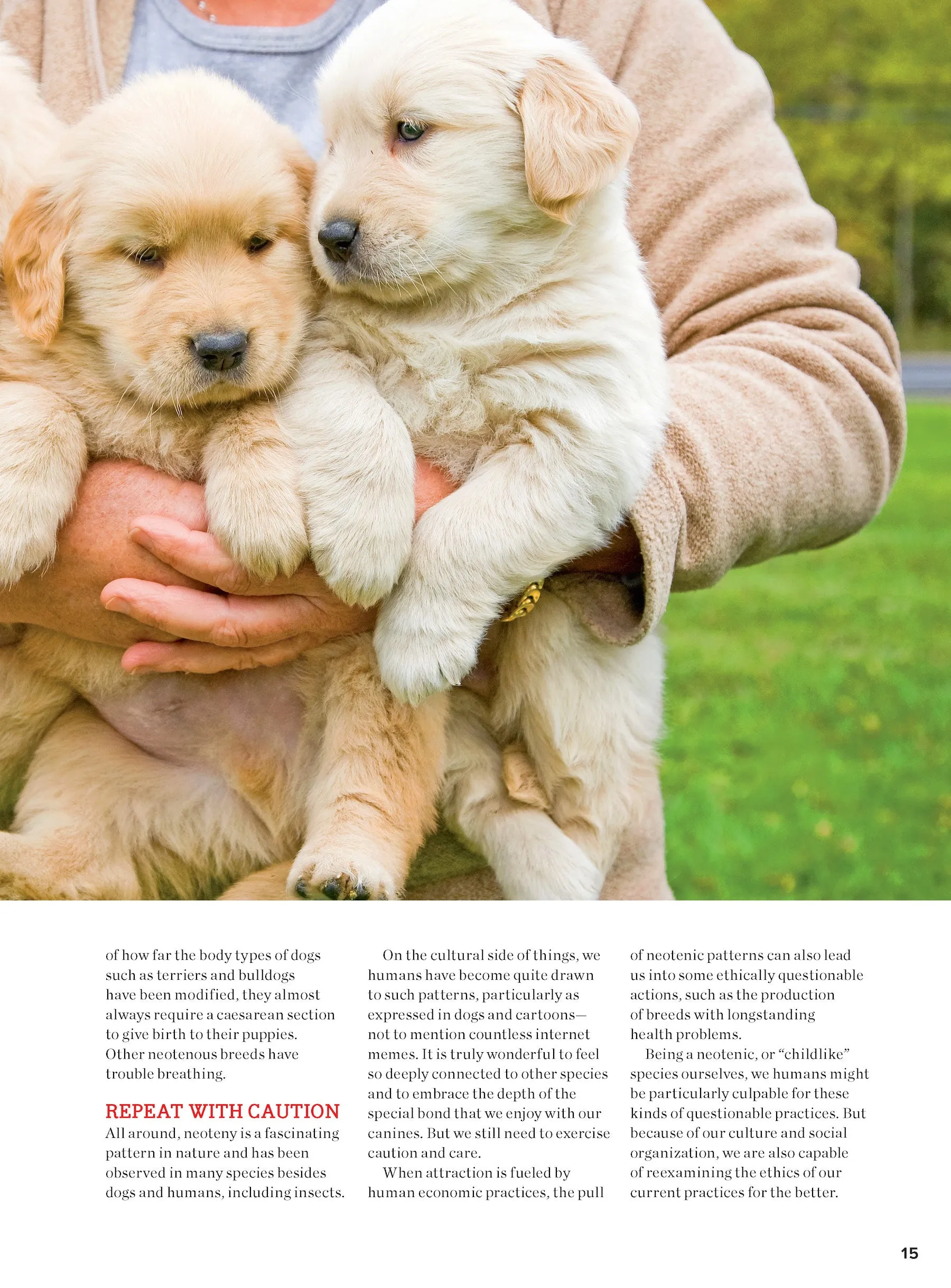 Inside Your Dog's Mind - New Discoveries: What They Really Think, Understand Their World, Decode Your Pet's Personality, Dog Dreams Explained   Teach Your Pup English!