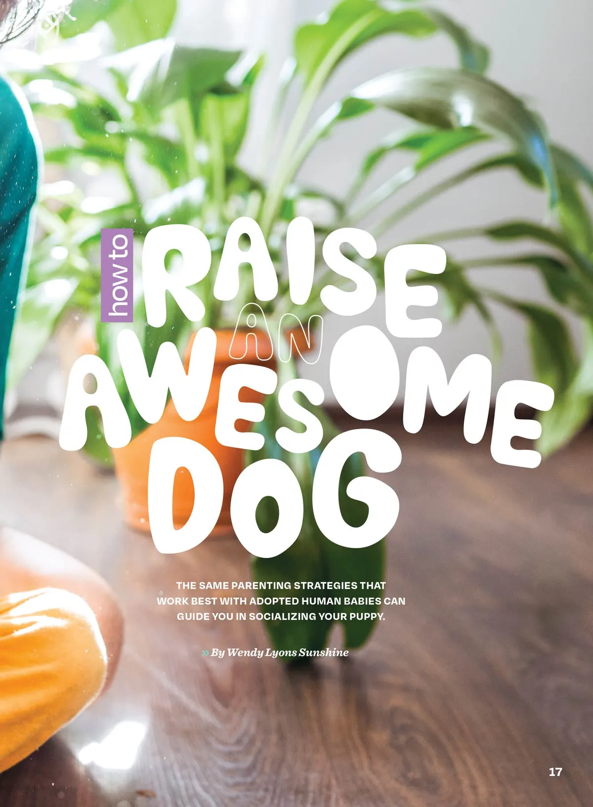 Inside Your Dog's Mind - The Happiness Issue: The Art Of Adventure & Play, Tips & Techniques To Fill Your Furry Friend's Lives With Joy, Playtime, Proper Nutrition, Return Gestures Of Love & More!