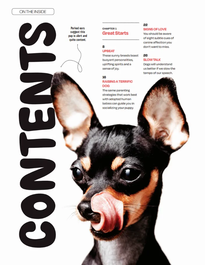 Inside Your Dog's Mind - The Happiness Issue: The Art Of Adventure & Play, Tips & Techniques To Fill Your Furry Friend's Lives With Joy, Playtime, Proper Nutrition, Return Gestures Of Love & More!