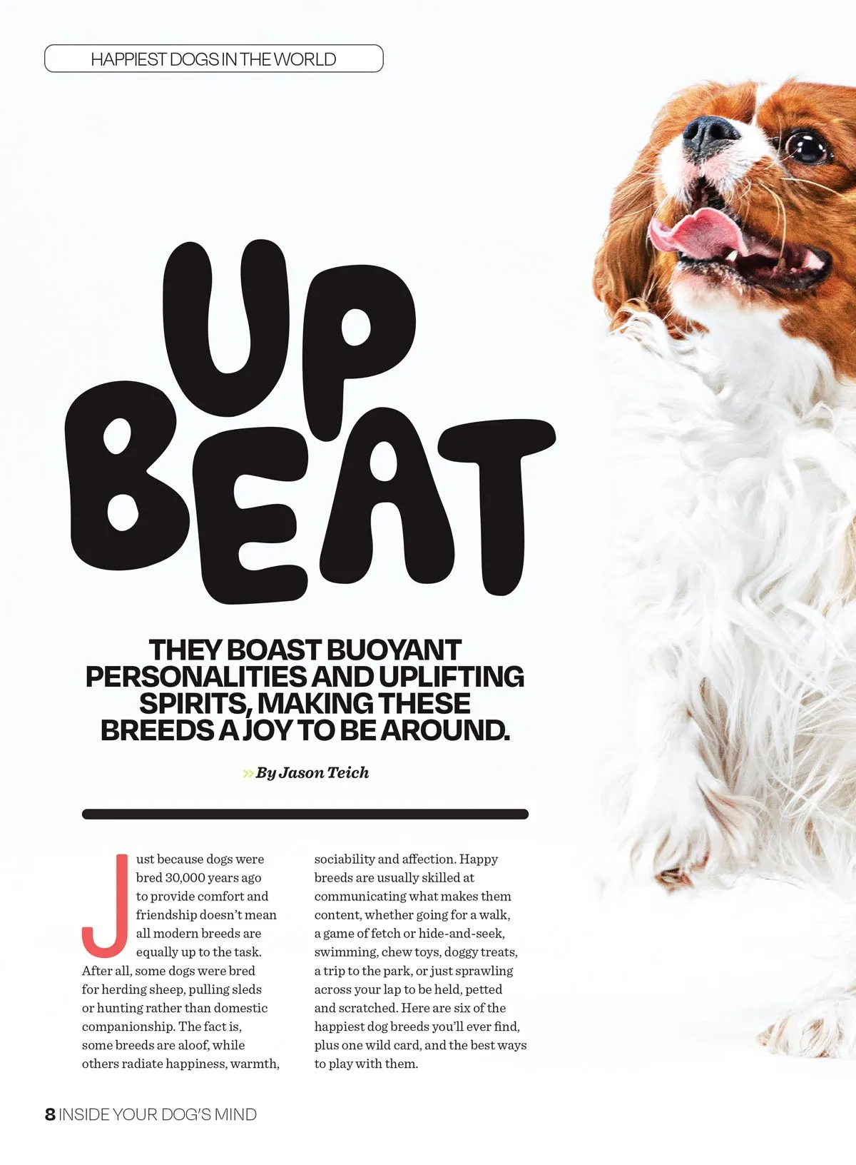 Inside Your Dog's Mind - The Happiness Issue: The Art Of Adventure & Play, Tips & Techniques To Fill Your Furry Friend's Lives With Joy, Playtime, Proper Nutrition, Return Gestures Of Love & More!