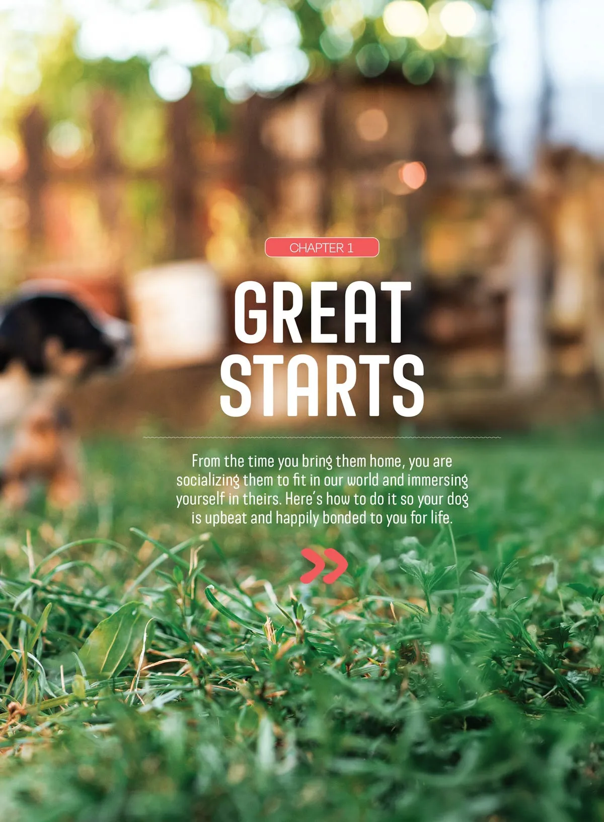 Inside Your Dog's Mind - The Happiness Issue: The Art Of Adventure & Play, Tips & Techniques To Fill Your Furry Friend's Lives With Joy, Playtime, Proper Nutrition, Return Gestures Of Love & More!