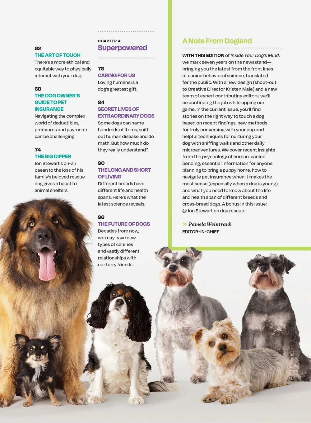 Inside Your Dog's Mind - What They Really Think: Right Way To Touch Them, Bark Meaning, Why Dogs Feel Your Pain, Guide To Pet Insurance, Sniffing Walk, Microadventures, Bonding, Health Span & More!