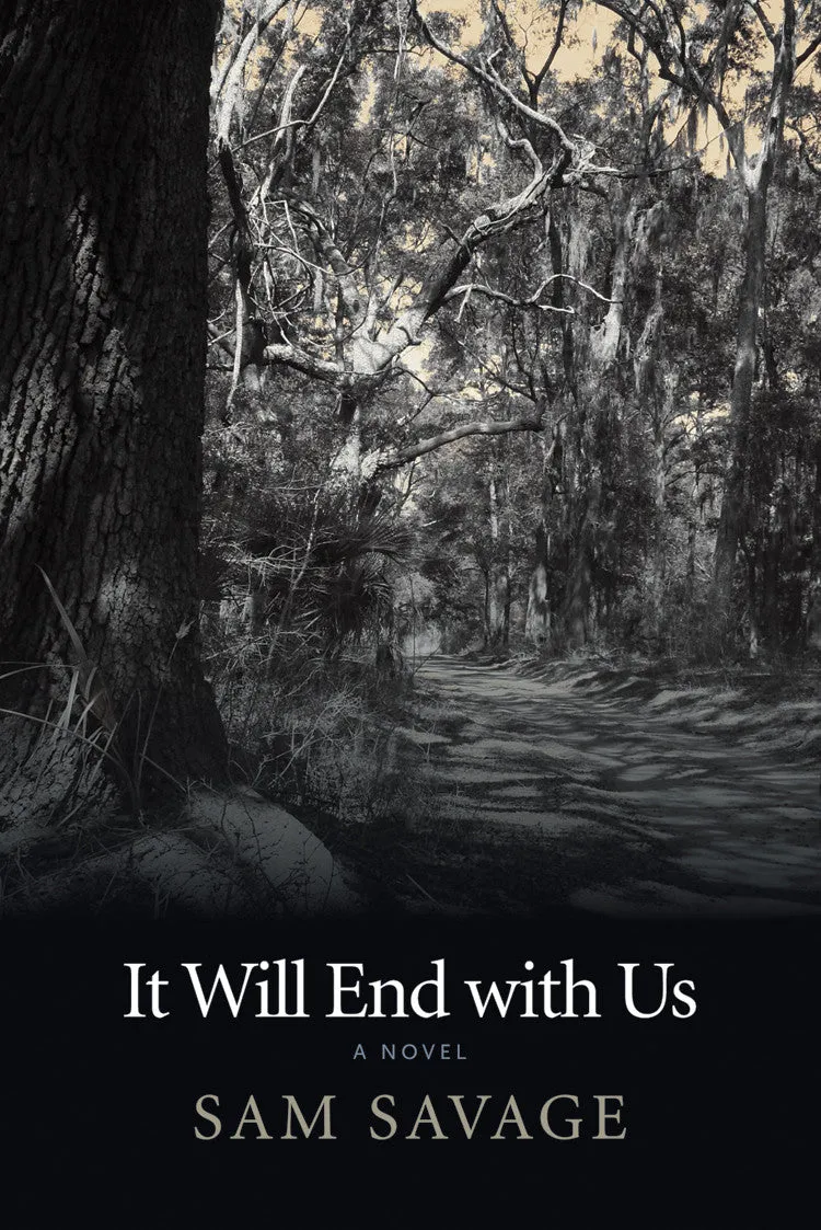 It Will End with Us CHPbeta